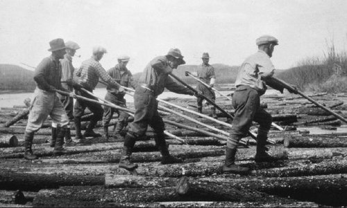 Draveurs au travail en 1915. Coll. Sté d'histoire du lac Saint-Jean. 